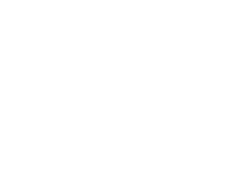 Cobra's gym personal training soesterberg logo